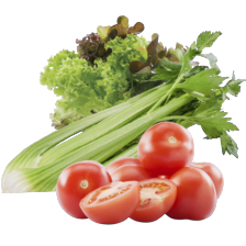 Bleekselderij,
tricolor kluitsla
of schaal tomaten rond
